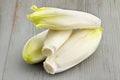 Belgian endives Royalty Free Stock Photo