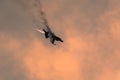 Belgian F16 demo after afterburning with heavy clouds  in the sunset orange sky Royalty Free Stock Photo