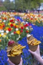 Belgian fries in Keukenhof flower garden, Lisse, Netherlands Royalty Free Stock Photo