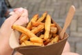 Belgian fries street food Royalty Free Stock Photo