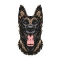 Belgian malinois dog colorful vintage template