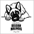 Belgian Malinois - vector illustration for t-shirt, logo and template badges Royalty Free Stock Photo