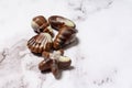 Belgian praline chocolate sweets in seashells shape Royalty Free Stock Photo