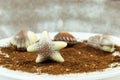 Belgian praline in the form of starfish Royalty Free Stock Photo