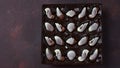 Belgian seashells traditional chocolate candies. Belgian milk chocolate bonbons shaped as seashells with clams, seahorses