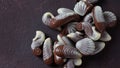 Belgian seashells traditional chocolate candies. Belgian milk chocolate bonbons shaped as seashells with clams, seahorses