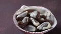 Belgian seashells traditional chocolate candies. Belgian milk chocolate bonbons shaped as seashells with clams, seahorses