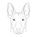 Belgian Sheperd Malinois dog easy coloring cartoon vector illustration. Isolated on white background Royalty Free Stock Photo