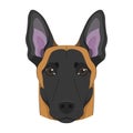 Belgian Sheperd Malinois dog isolated on white background vector illustration Royalty Free Stock Photo