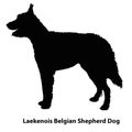 Belgian shepherd dog breeds vector silhouettes set