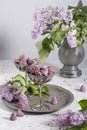 Belgian sweets cuberdon and pralines in silver glasses, spring still life,lilac Royalty Free Stock Photo