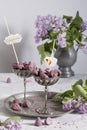 Belgian sweets cuberdon and pralines in silver glasses, spring still life,lilac Royalty Free Stock Photo
