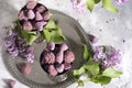 Belgian sweets cuberdon and pralines in silver glasses, spring still life,lilac Royalty Free Stock Photo