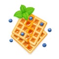 Belgian Waffle, blueberries, honey and peppermint. Dessert sweetness. Royalty Free Stock Photo