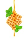 Belgian Waffle, honey and peppermint. Dessert sweetness. Royalty Free Stock Photo