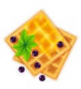 Belgian waffle with honey sweet dessert for breakfast vector illustration Royalty Free Stock Photo