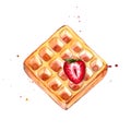 Belgian waffle with red strawberry watercolor illustration.