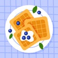 Belgian waffles with blueberries and mint on a plate. Breakfast