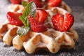 Belgian waffles with fresh strawberries macro on a slate table. Royalty Free Stock Photo