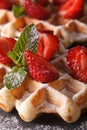 Belgian waffles with fresh strawberries macro on a slate table. Royalty Free Stock Photo