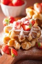 Belgian waffles with icing sugar and strawberry Royalty Free Stock Photo