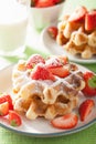 Belgian waffles with icing sugar and strawberry Royalty Free Stock Photo