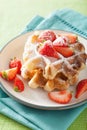 Belgian waffles with icing sugar and strawberry Royalty Free Stock Photo