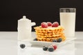 Belgian waffles with raspberries and sieving sugar powder and honey served with jug of milk on a white table Royalty Free Stock Photo