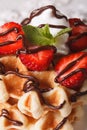 Belgian waffles with strawberries, whipped cream and chocolate m Royalty Free Stock Photo