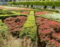 Belgium, Brussels, Mont des Arts, decorative bushes and flowers on flowerbed Royalty Free Stock Photo