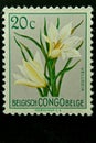 Belgium Congo postal stamp