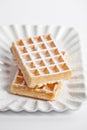 Belgium waffers with sugar powder on ceramic plate isolated on white background