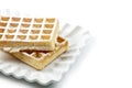 Belgium waffers with sugar powder on ceramic plate isolated on white background