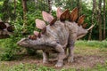 Dinopark of Belgorod city. Outdoor statue of stegosaurus in nature