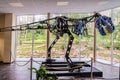 Mechanical tyrannosaurus rex. Side view. Hand-operated robot dinosaur. Dinopark of Belgorod city