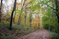 Belgrad Forest