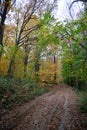 Belgrad Forest, ÃÂ°stanbul Turkey Royalty Free Stock Photo