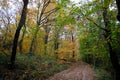 Belgrad Forest, ÃÂ°stanbul Turkey Royalty Free Stock Photo