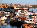 Belgrade boats Royalty Free Stock Photo