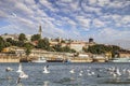 Belgrade Downtown Panorama With Tourist Port Viewed From Sava River Perspective Royalty Free Stock Photo