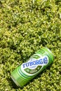 Belgrade, Serbia - 27. April 2020.: Tuborg beer can on the green grass on a sunny day. Tuborg adverisement concept with green Royalty Free Stock Photo