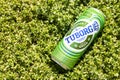 Belgrade, Serbia - 27. April 2020.: Tuborg beer can on the green grass on a sunny day. Tuborg adverisement concept with green Royalty Free Stock Photo