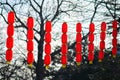 Chinese Lunar New year Red lanterns decorations in Belgrade fortress, Serbia Royalty Free Stock Photo