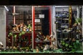 BELGRADE, SERBIA - JULY 16, 2023: Selective blur on the window of a vintage old shoe store at night, in a decaying environment, in