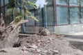 A group of a meerkat in a cage