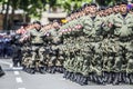 Rows of military troop marching on streets during sunny summer day Royalty Free Stock Photo