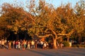 People dancing with accordion player at Kalemegdan Park