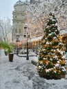 Belgrade streets covered with snow during winter. New Year\'s decorations, Christmas tree and snow on a street