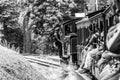 Belgrave, Victoria, Australia - January 7, 2009: Puffing Billy steam train with passengers. Historical narrow railway.