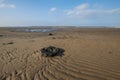 Belhaven Bay rippled sand Royalty Free Stock Photo